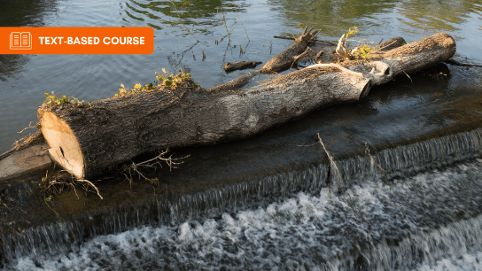 Use of Wood Materials for Habitat / Bank Protection